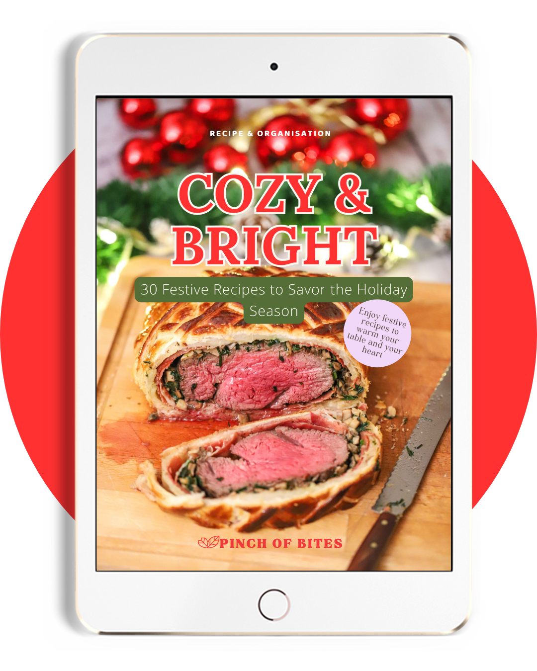 Presentation Cookbook Christmas ebook