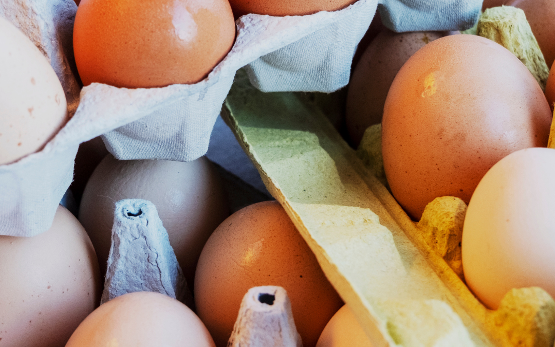 Choline: The Brain and Muscle Boosting Nutrient You’re Probably Ignoring